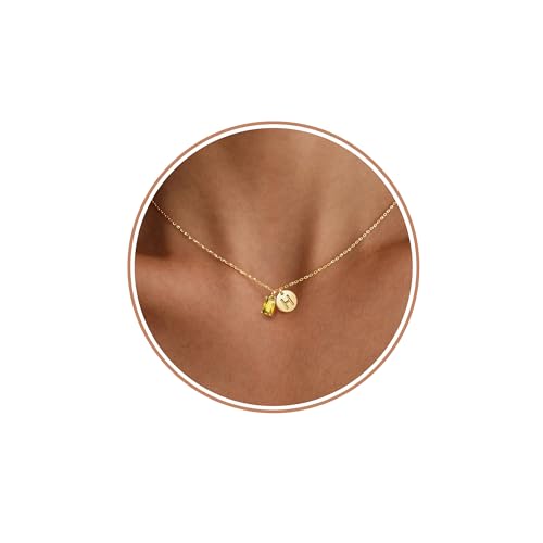 Btysun Gold Necklaces with Initial H, Stocking Stuffers for Her November Sister Birthday Gifts Citrine Necklace with Letter H Topaz 14k Plated Topaz Jewelry