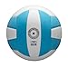WILSON Pro Tour Indoor Volleyball - Teal/White, Official Size