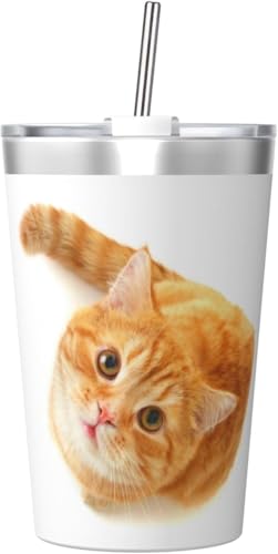 @r L ^u[ 350ml XeX WƃXg[t ^fMRȂ ^  q ʋ ʊw 킢  v[g
