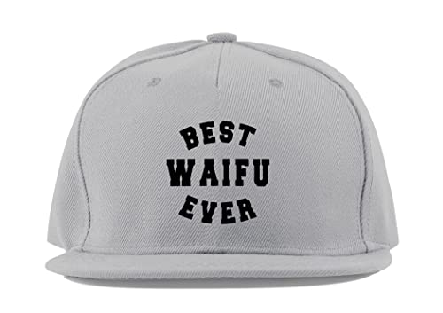 Casquette anime manga anti transpiration taille unique en coton gris visière plate unisexe