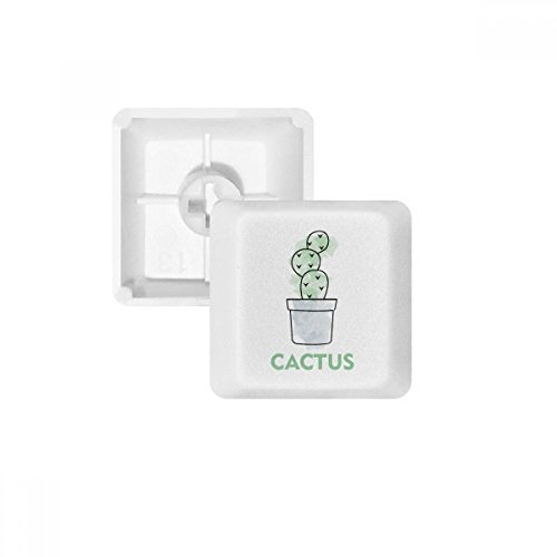 Clavier mécanique élégant avec touche PBT Cactus Aquarelle R4 profil OEM