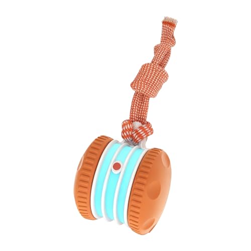 Midieobe �C���^���N�e�B�u �L���b�g �{�[�� - �d�� �܂Ƃ� �������� - �����ی^ ���[�V���� �Z���T�[ ���� ���� �L �������� - �ދ����� �^�� �g���[�j���O �����j���O �q�� �q�L �� ���� ���^ ���^ ��^ ����p