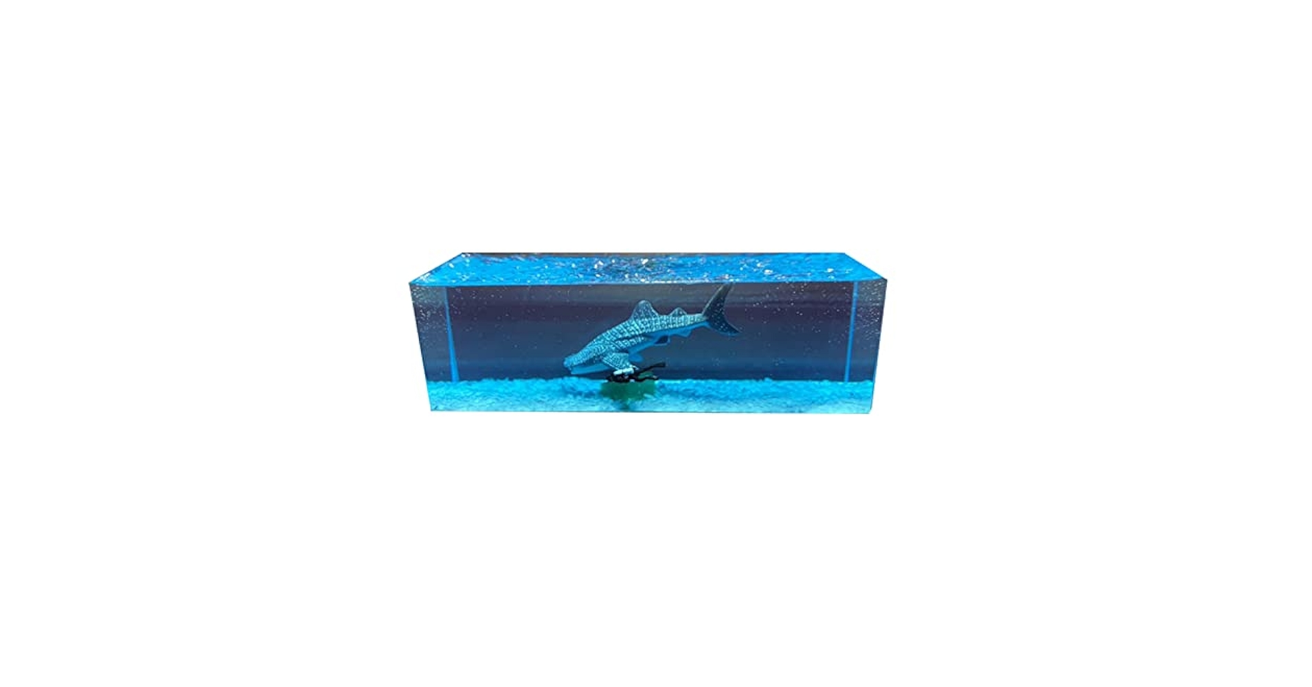 Amazon.co.jp: BACALYSO | シロナガスクジラ サメ イルカ