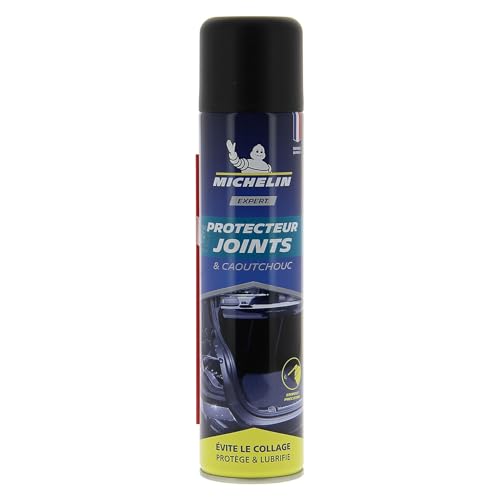 MICHELIN 009455 protège vos portières du gel hivernal en un geste