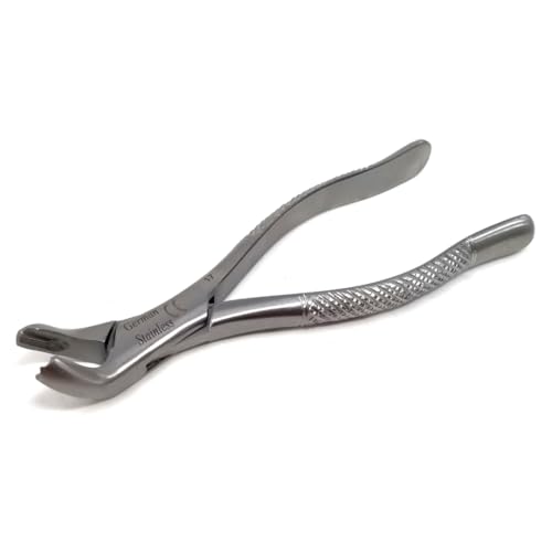 IMEDS Dental Extracting Forceps #17 with Serrated Beaks Tooth Extraction German Stainless Steel Professional Tools for Dentist Student Training