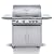 Blaze Premium LTE 32-Inch 4-Burner Natural Gas Grill w/Rear Infrared Burner & Grill Lights