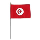 Online Stores Tunisia flag 4 x 6 inch