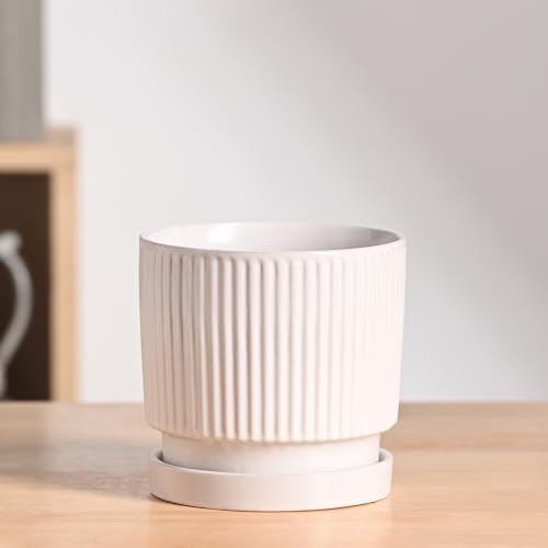 Image of UGAOO Roma Ceramic Pot |Indoor Ceramic Planter for Home, Office, Garden, Balcony - White (5 Inch)