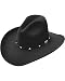 Stetson Men's 4X Silver Mine Buffalo Felt Cowboy Hat Black 7 1/2