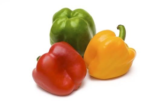 Fresh Organic Rainbow Bell Peppers Red, Yellow, Orange, and Green by RawJoy Farms, 1 Pound image 5