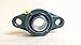 DEEPDREAM UCFL205-16 Pillow Block Bearing,Pack of 2 Flange Mounted Bearings,1 inch Bore,2 Bolt Flange Bearing, Self Alignment Pillow Block Bearing