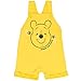 Disney Winnie the Pooh Baby Boys 3 Piece Outfit Set: Overalls T-Shirt Hat 12 Months