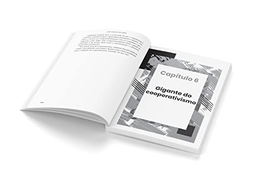 José Aroldo Gallassini:: uma visão compartilhada – 2ª ed. – A inspiradora trajetória do presidente d
