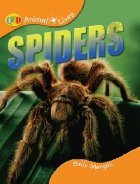 Paperback Spiders (Animal Lives) Book