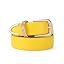 Lemon Yellow