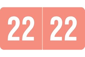 Smead Pink 2022 Year Stickers for File Folders, 500 Pack