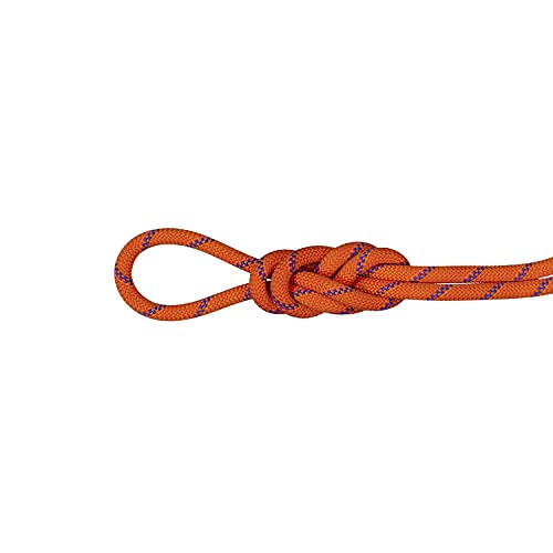 Mammut 9.0 Alpine Sender Dry Kletterseil, Sunrise-Ice, 50m
