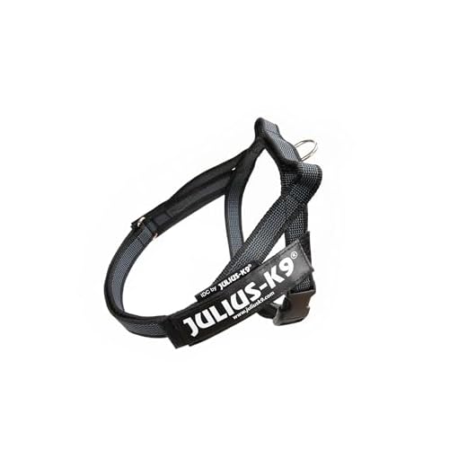 Julius-K9, Color & Gray, Beltgeschirr