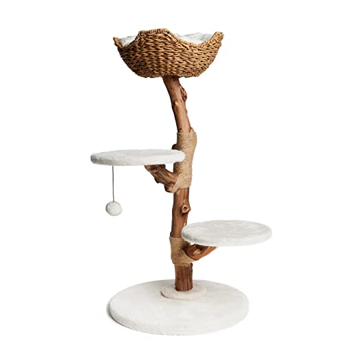 Konelcare Modern Cat Tree-Multi Level Natural Wood Cat Tower-Unique Design Easy Climb For Small And Old Cats #TOP2