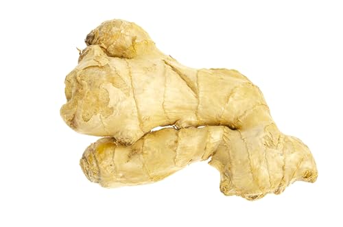Ginger Root, Whole fresh Ginger Rhizome aka (Root). 4 ounces, Ginger is a spice that comes from the rhizome (or root) of the flowering plant Zingiber officinale. COOL BEANS N SPROUTS brand. - Thumbnail 3