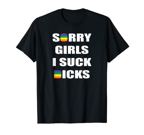 LGBT Gay Pride Schwul Regenbogen Queer T-Shirt