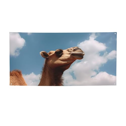 oi[TC O  a wi |X^[ p[eB[ fR[V pi ʐ^wi Obgt p[\iCY EH[oi[ tbO