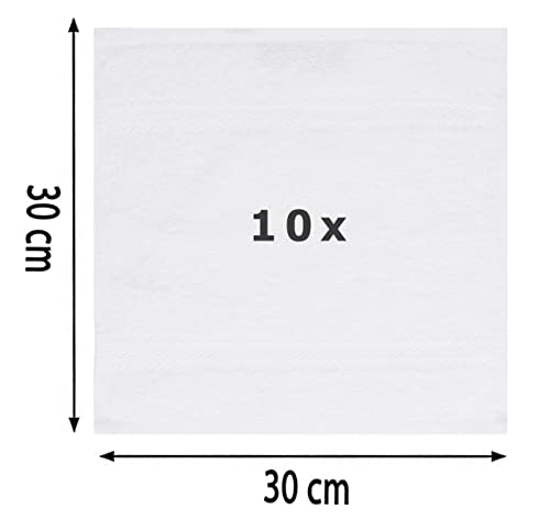 Betz Set di 10 lavette Premium misura 30 x 30 cm