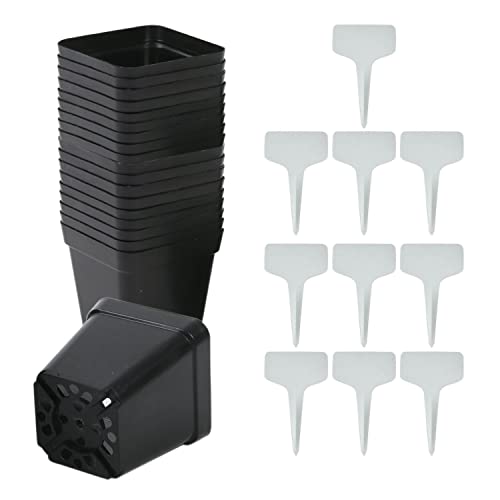 50 Macetas Cuadradas Y 10 Etiquetas Para Plantas, Macetas De Plántulas De Plástico, Macetas De Jardinería, Contenedores De Plantas Con Orifici 50 Macetas Cuadradas Y 10 Etiquetas Para Plantas, Macetas De Plántulas De Plástico, Macetas De Jardinería, Contenedores De Plantas Con Orifici