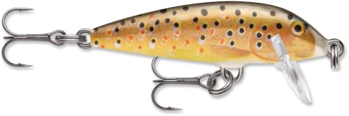 Rapala Countdown Fishing Lures