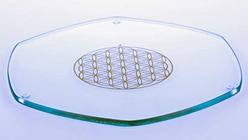 Energieplaat a rencontré Bloem des Levens goud groot