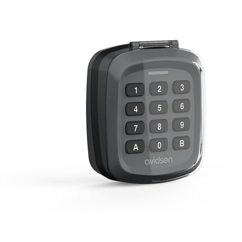 Avidsen Clavier à Code sans Fil pour Motorisation, Digicode Radio 80 m Champ Libre, Clavier 12 Touches, 2 Piles LR03 AAA incluses, Gris