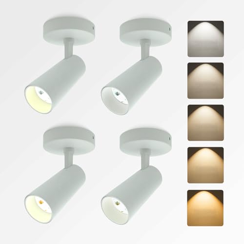 JARLSTAR LED Ceiling Spotlight 5CCT 2700K/3000K/3500K/4000K/6000K Selectable Dimmable,Spot Light Indoor