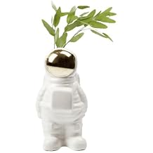 Yuri The Astronaut Medium