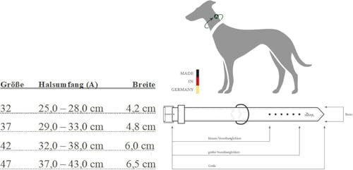 HUNTER ROM Windhundhalsband, Leder, gepolstert, mit Besätzen, 37 (XS-S), dunkelbraun