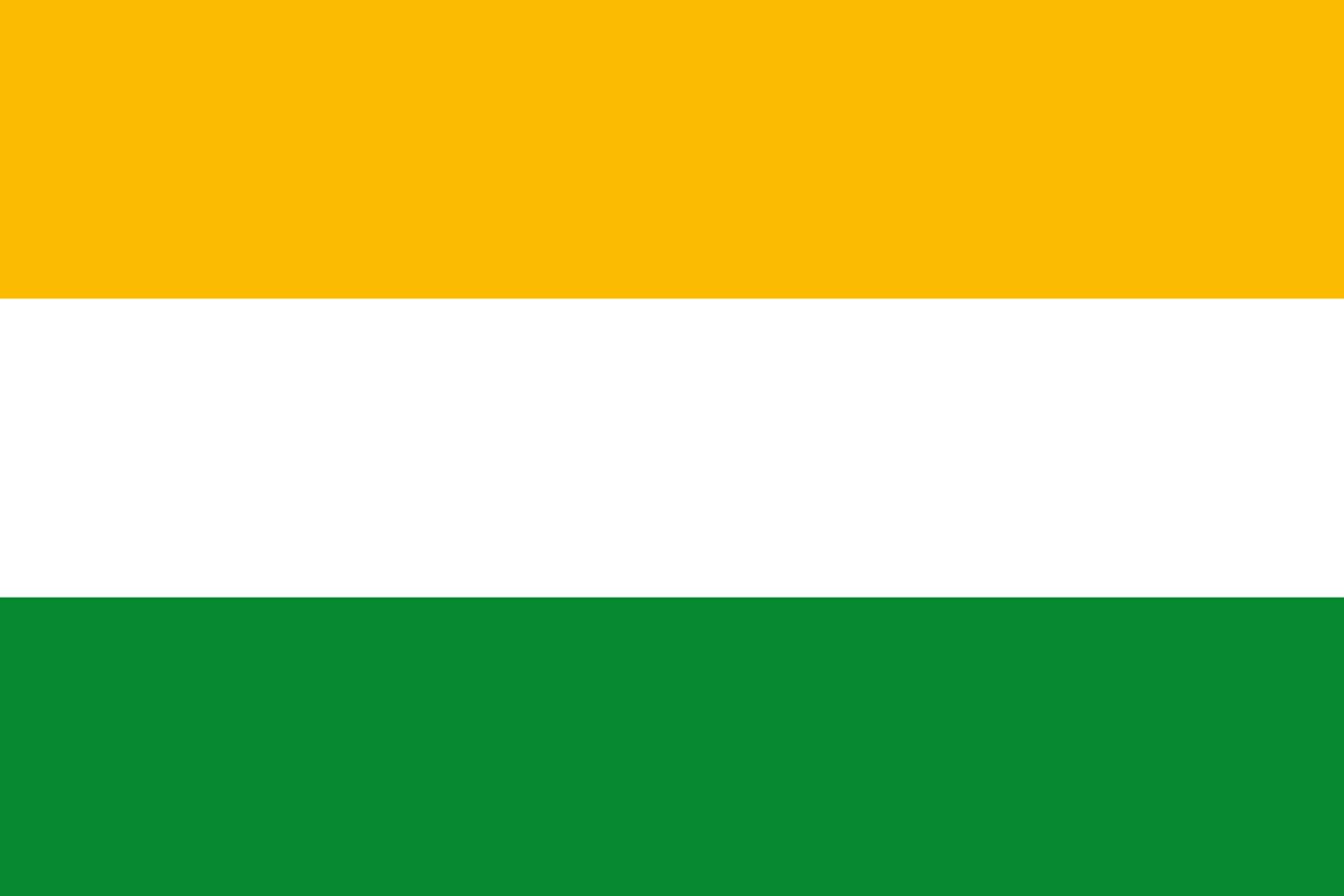 Drapeau XL Acacías Meta officiel du municipio colombien taille géante