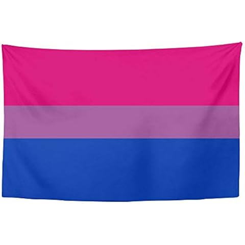 YongColer Bisexual Pride Flag Tapestry, Wall Decor Art Tapestry Hanging for Living Room Kitchen Outdoor Dorm Bedroom, 60 X 40 Inches Cover