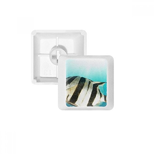 Keycaps PBT poisson tropical OEM blanc sans marquage R3 pour clavier mécanique