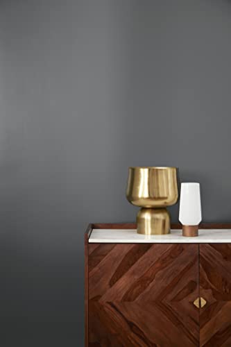 Kilz Tribute Paint & Primer, Interior, Color Sample, Motor Gray, 8 Ounces #TOP2