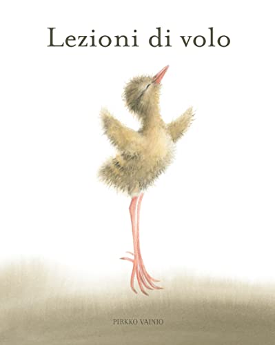 Lezioni di volo. Ediz. illustrata