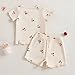 fhutpw Toddler Baby Girls Summer Outfits Daisy Ruffle Short Sleeve T-Shirts Tops Floral Shorts 2Pcs Clothes Set 6M-4T (Cherry- Apricot, 2-3T)