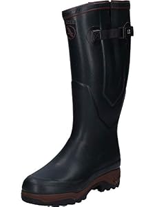 Aigle _Bronze