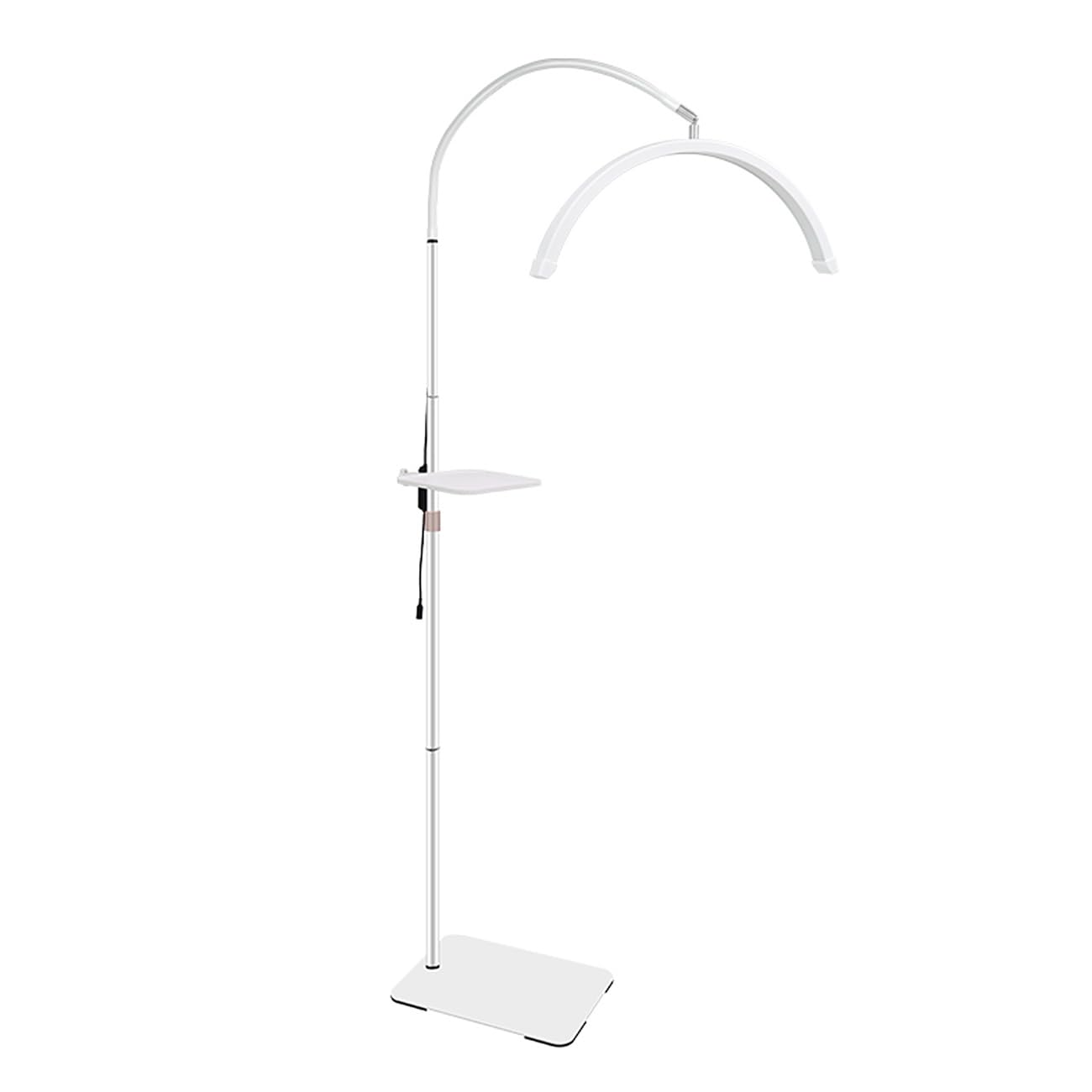 ayex LED Beauty Lampe dimmbar höhenverstellbar U-Bogen Stehlampe mit Ablage Kosmetik Tattoo wimpern weiß 36W