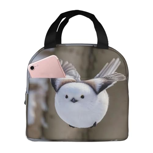 `obO V}GiK  ۗ ۉ ٓobO  RpNg O|Pbgt ~jg[gobO p肳obO fB[X Y ʋ ʊw s fB[X Y qp