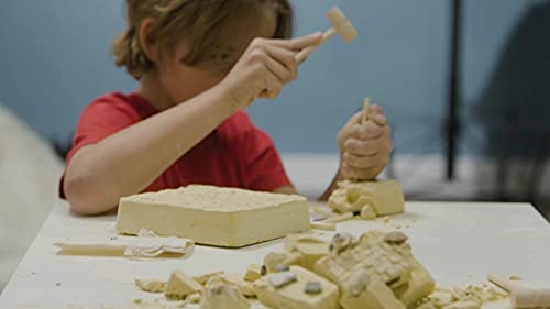 Mega Fossil Dig Kit - Educational Stem Science Toys For Kids Ages 4-12 Year Old - Dig Up 15 Real Fossils & Dinosaur Bones - Digging Activities Kits - Paleontology, Discovery Gifts For Boys And Girls #TOP6