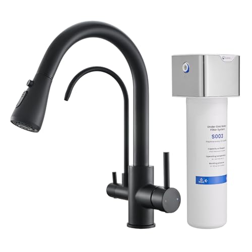 GIMILI 3-in-1 Black Kitchen Faucet with Filter
