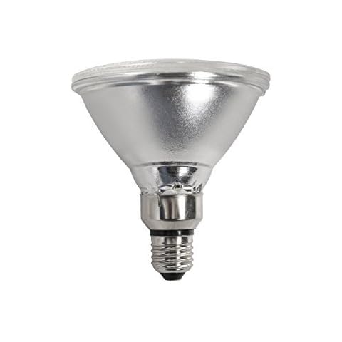 80w ES E27 PAR38 Flood Spotlight Bulbs Halogen 240v (Pack of 10) Cover