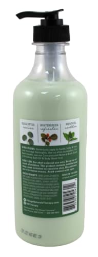 Village Naturals Aches + Pains Muscle Relief Lotion 16 Ounce (473ml) (6 Pack) - Thumbnail 3