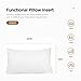 Acanva Decorative Rectangle Throw Pillow Inserts Hypoallergenic Form Stuffer Cushion Sham Filler, 1 Count (Pack of 1), White