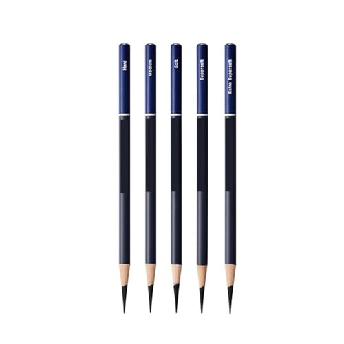 Crayons à charbon pour dessin avec gradation mixte pour ombrage précis