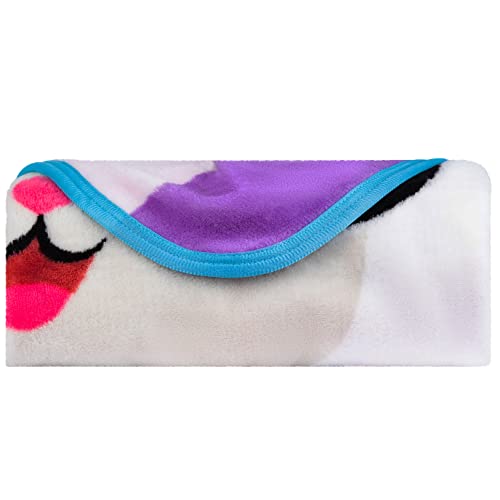 Gabby's Dollhouse Cakey And Pandy Kids Bedding Super Soft Micro Raschel Throw, 46 In X 60 In, By Franco #TOP2